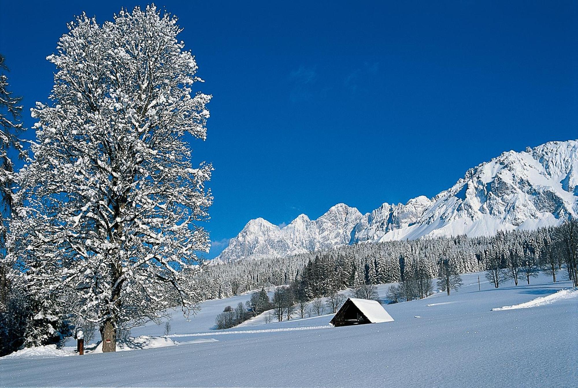 Hotel Matschner Ramsau am Dachstein Exterior photo